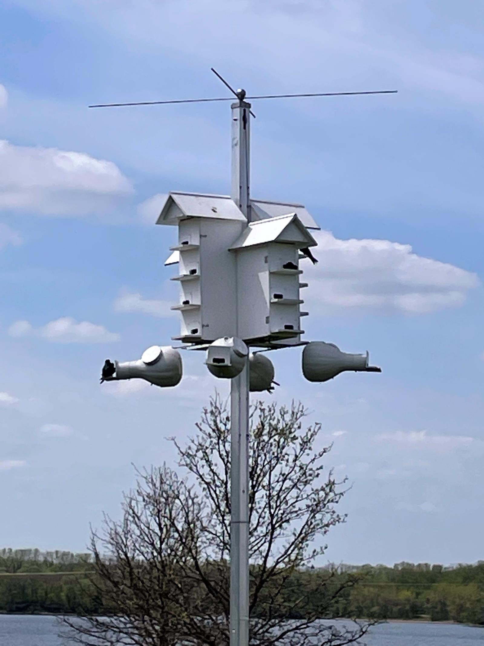 RRP Purple Martin House