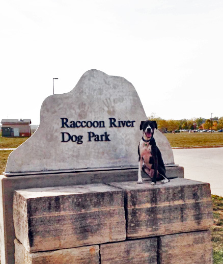 Raccoon River Dog Park