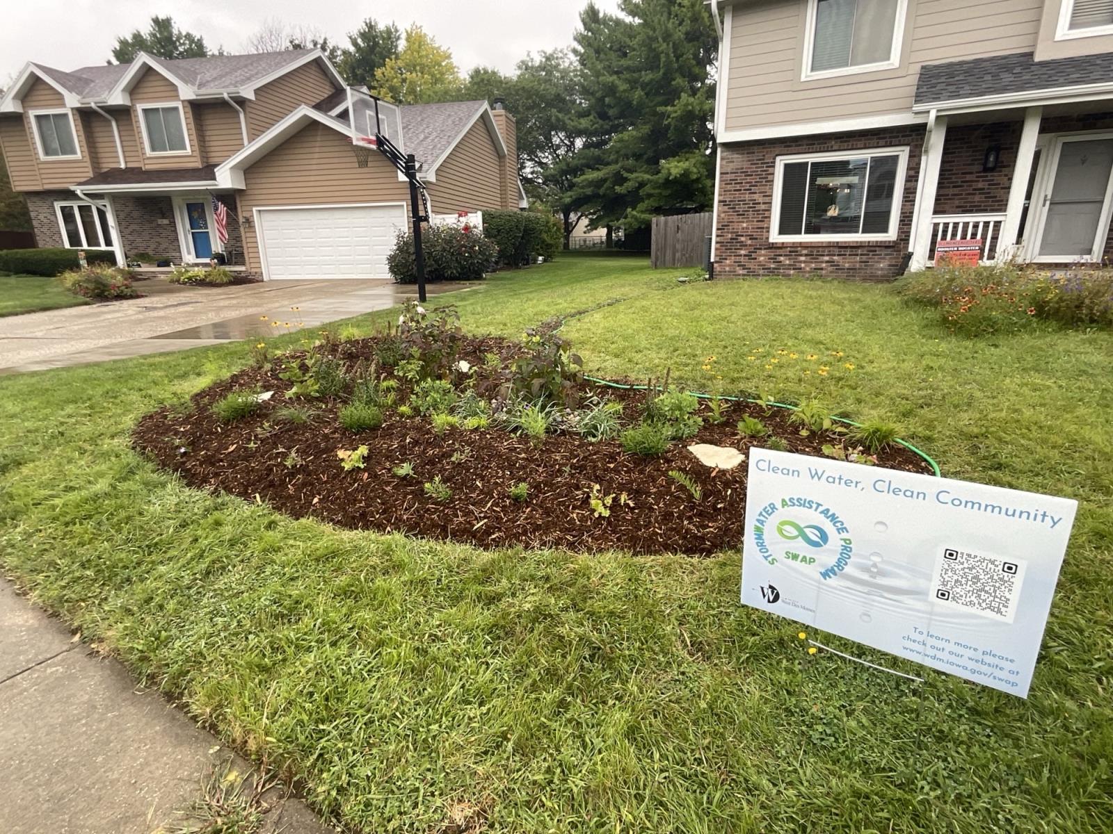 Rain Garden 1