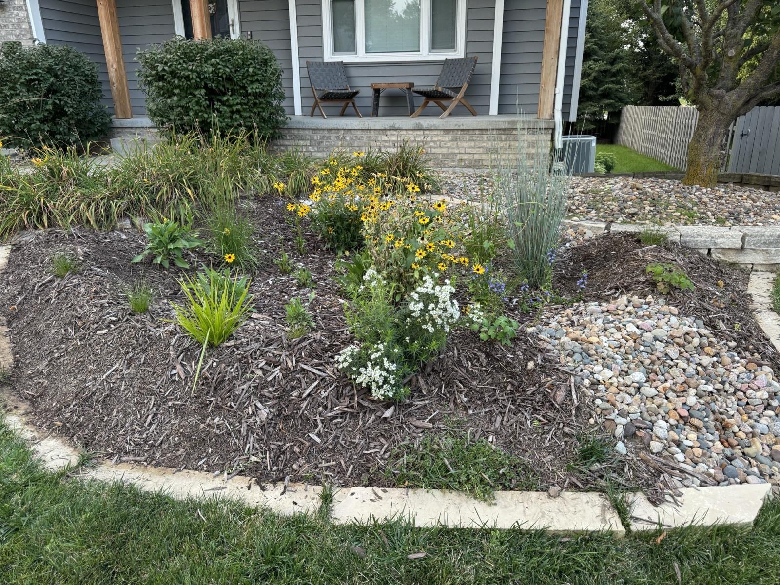 Rain Garden 2