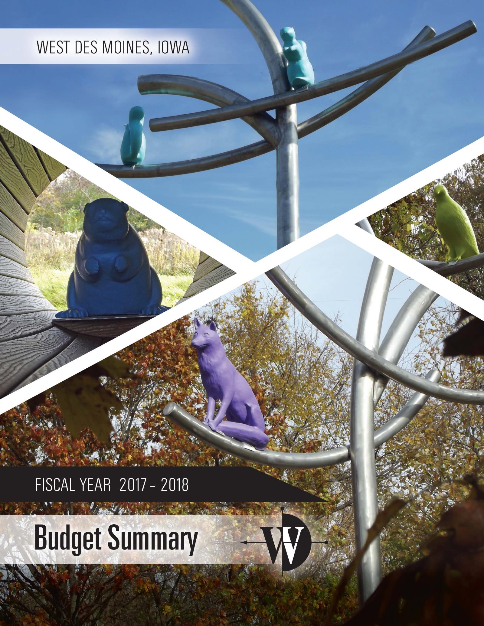 FY 17-18 Budget Cover